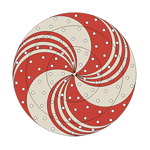 20 Inch Spinner
